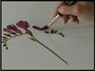 Painting Fresias in 10 Minutes 