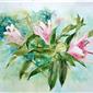 PINK LILIES 11 X 15 inches