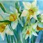 Easter Daffs 11 x 15 inches SOLD